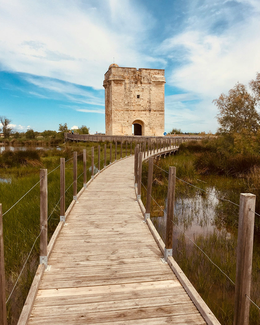 Tour Carbonnière en Camargue