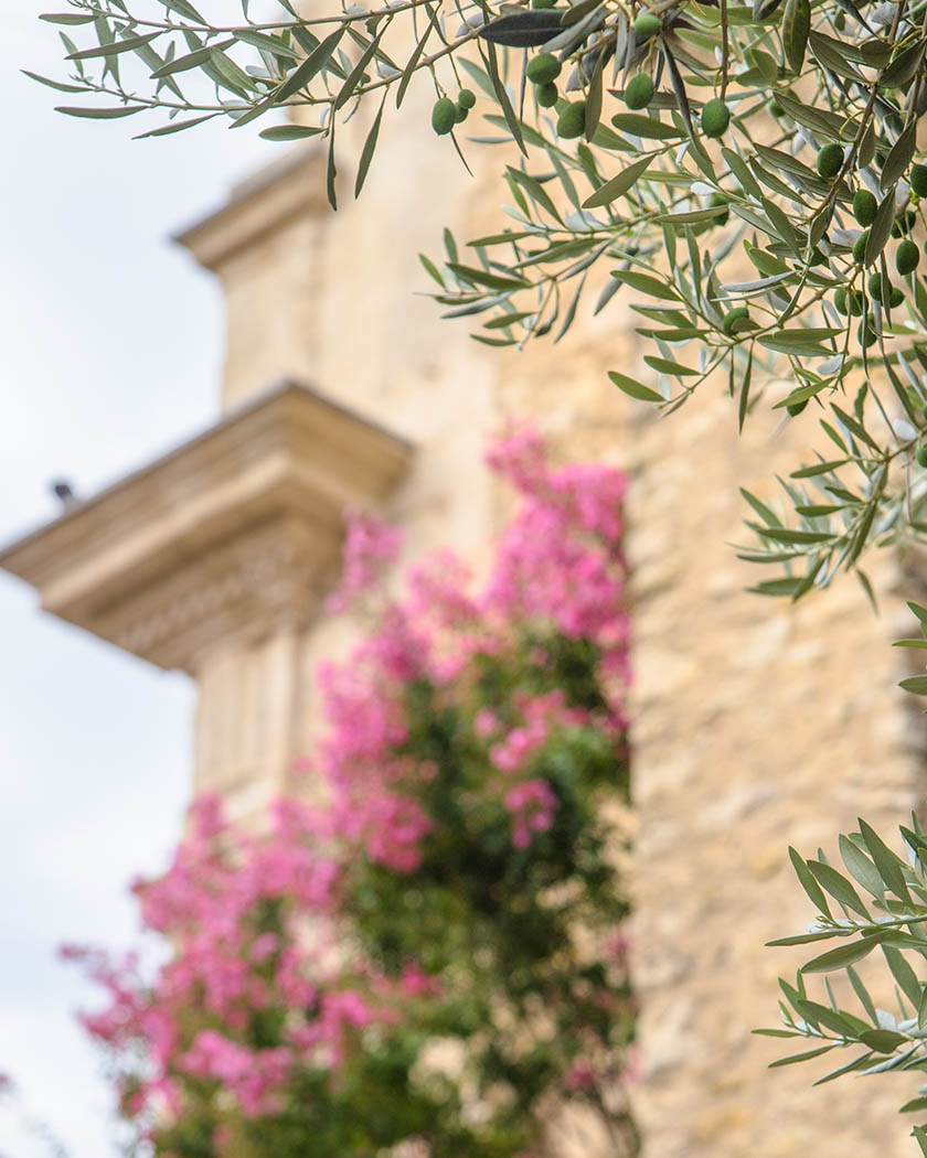 cour intérieure d'un domaine provençal privatisé avec oliviers