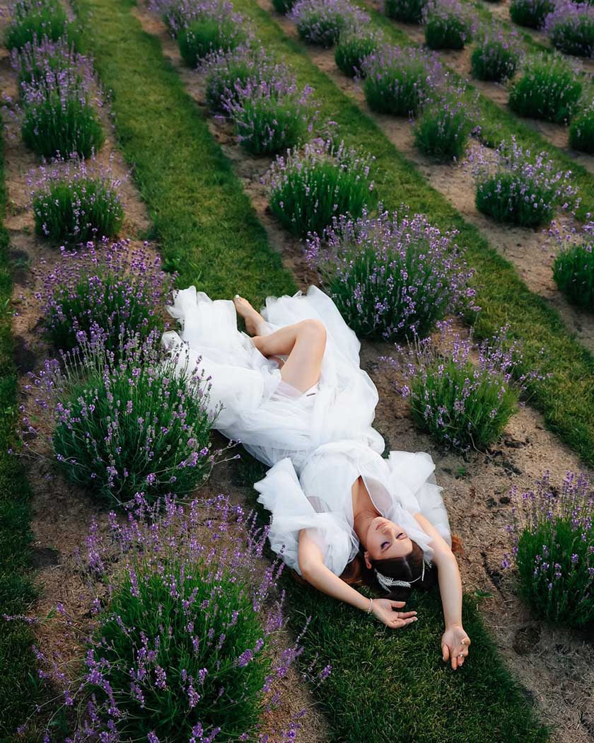mariée dans un champs de lavande en Provence